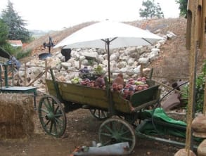 בית%20קפה%20נחלת%20איכרים%20,%20מטולה